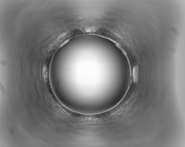 X0000090961443200708091346