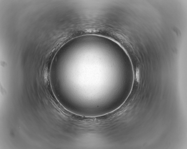 X0000090961444200708091346