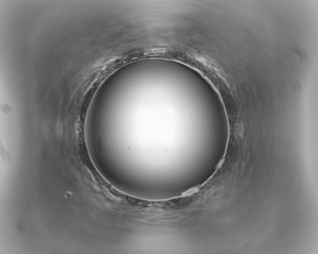 X0000090961445200708091346