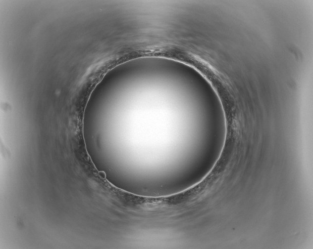 X0000090961447200708091346