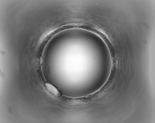 X0000090961448200708091346