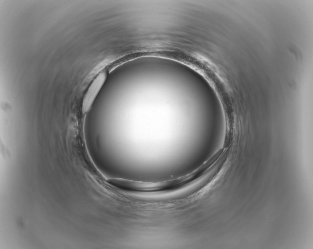 X0000090961449200708091346