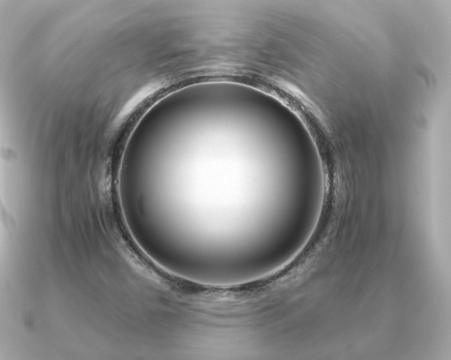 X0000090961450200708091346