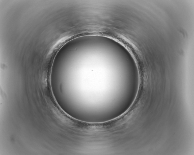 X0000090961451200708091346