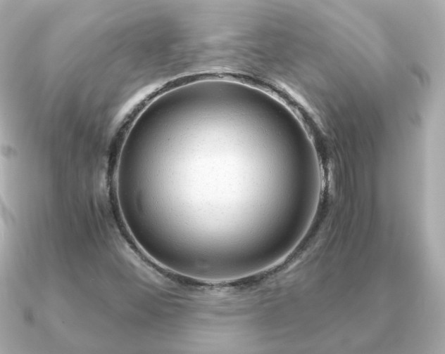 X0000090961452200708091346