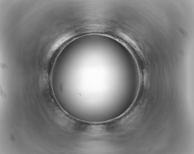 X0000090961453200708091346
