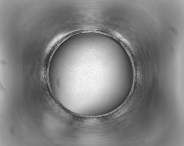 X0000090961454200708091346