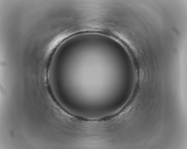 X0000090961455200708091346