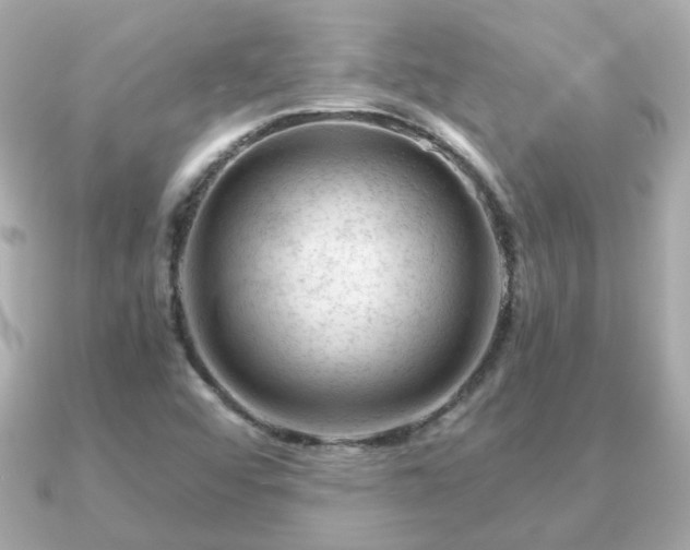 X0000090961456200708091346