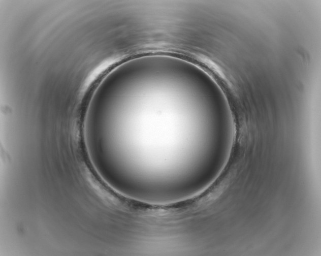 X0000090961458200708091346