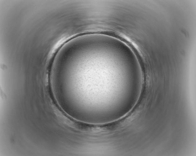 X0000090961459200708091346