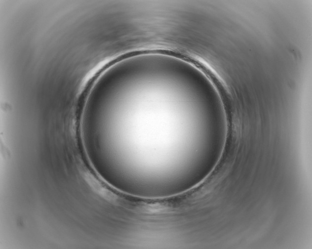 X0000090961460200708091346