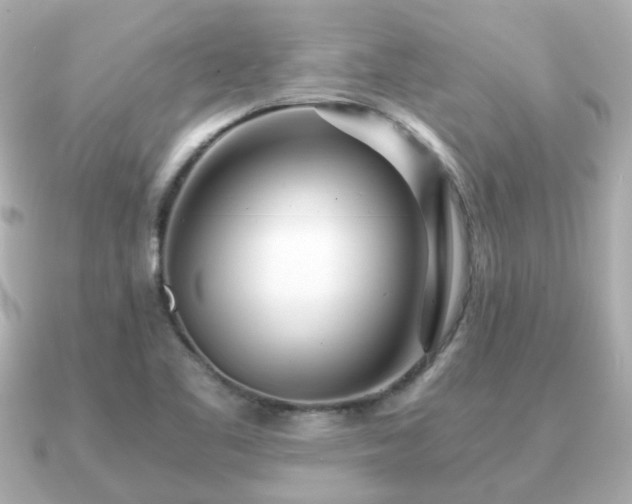 X0000090961461200708091346