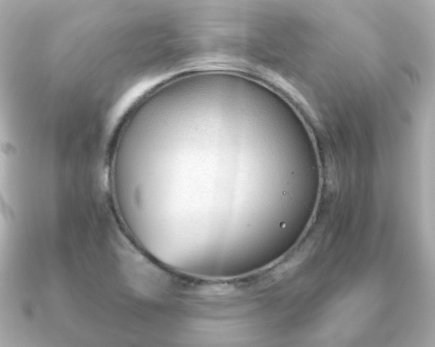 X0000090961462200708091346