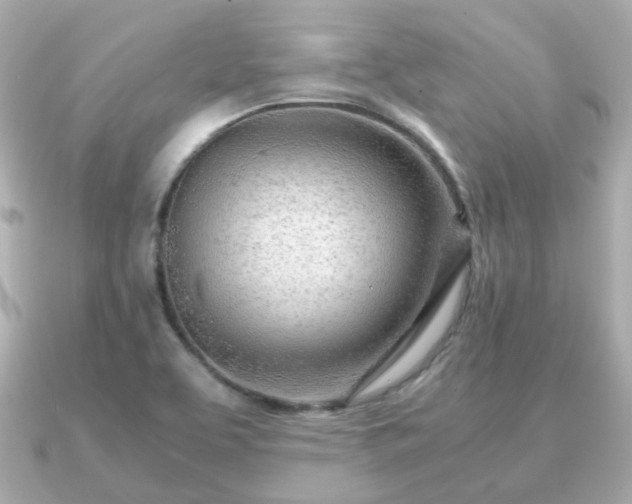 X0000090961463200708091346