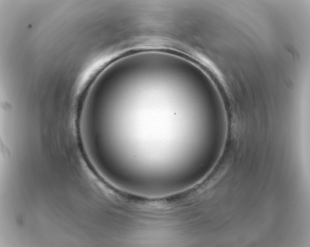 X0000090961464200708091346