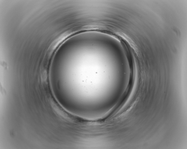 X0000090961465200708091346