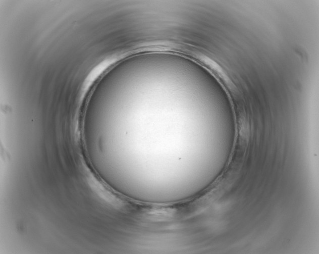 X0000090961466200708091346