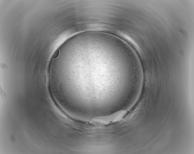 X0000090961467200708091346