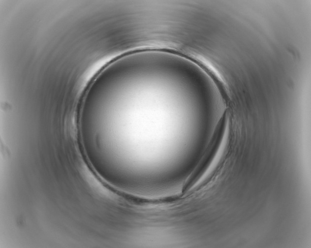 X0000090961468200708091346