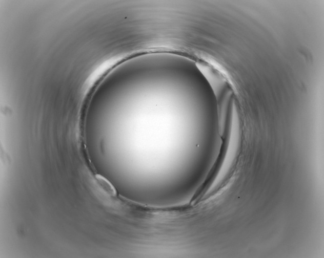 X0000090961469200708091346