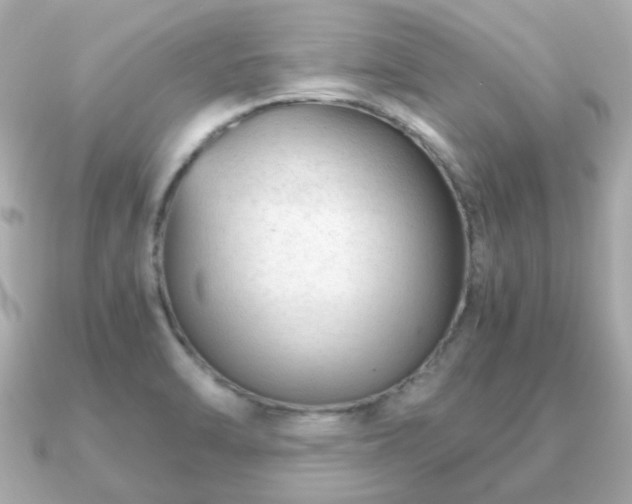 X0000090961470200708091346