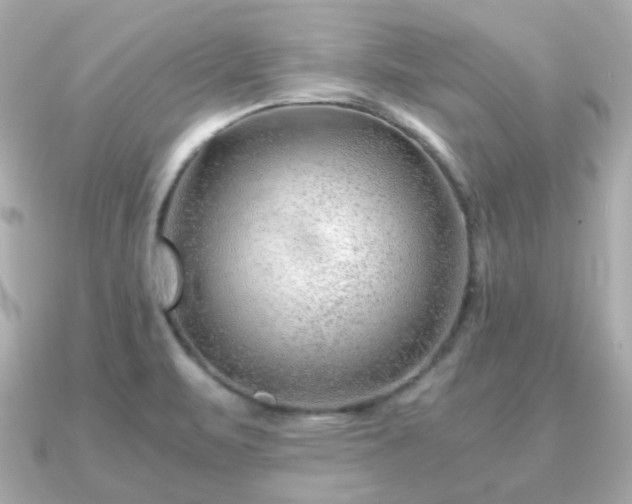 X0000090961471200708091346