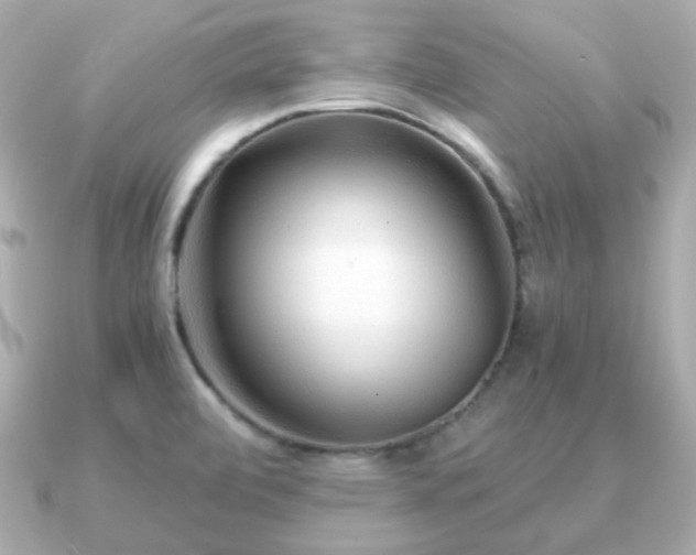 X0000090961472200708091346