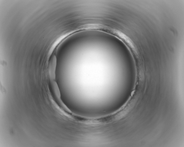 X0000090961473200708091346