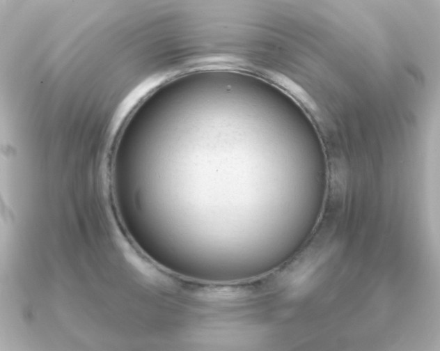 X0000090961474200708091346
