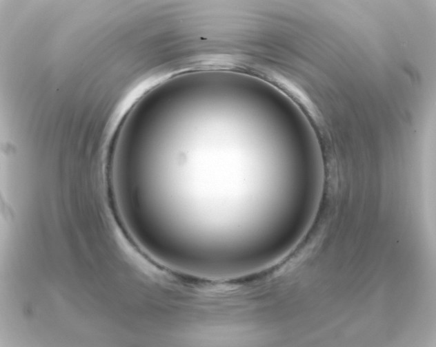 X0000090961475200708091346
