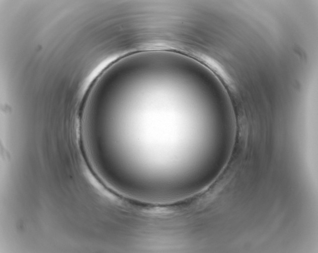 X0000090961476200708091346