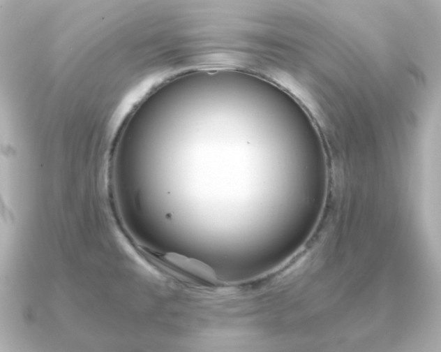 X0000090961477200708091346