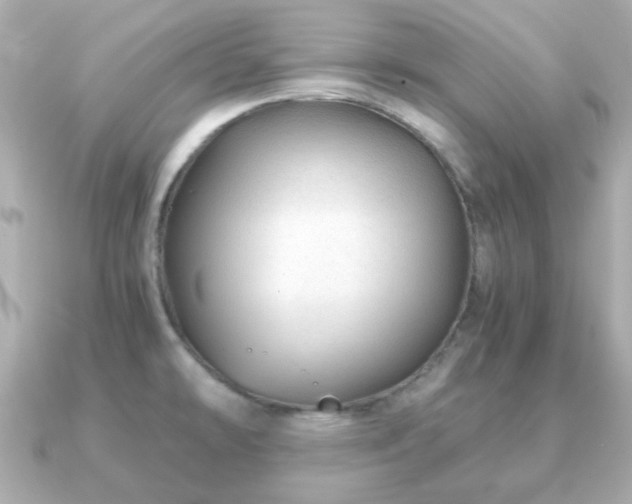 X0000090961478200708091346