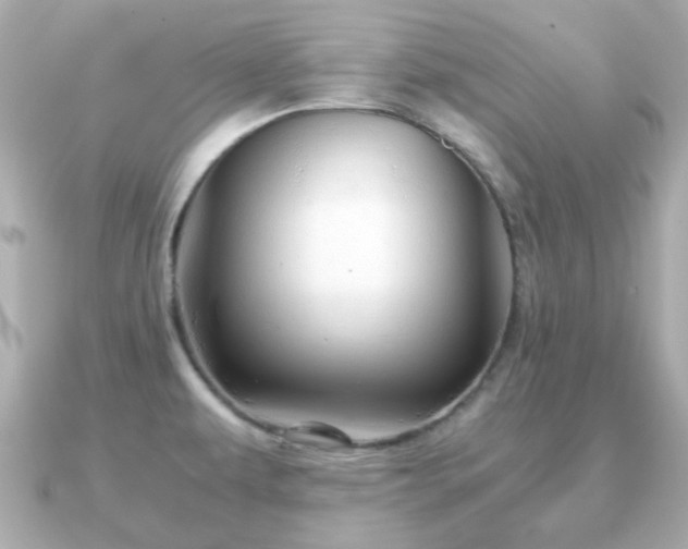 X0000090961479200708091346