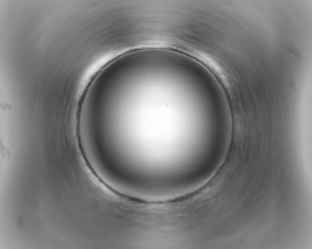 X0000090961480200708091346