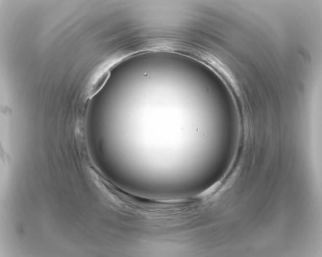 X0000090961481200708091346
