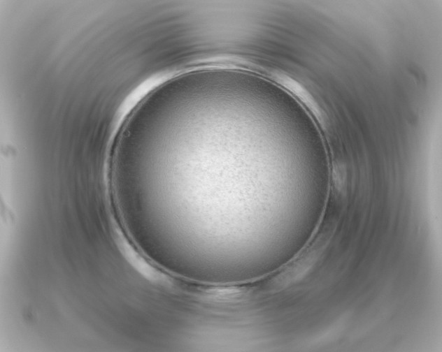 X0000090961482200708091346