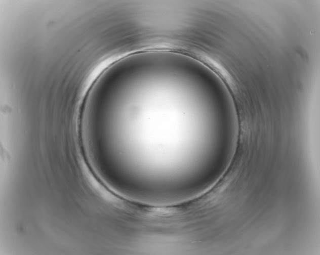 X0000090961483200708091346