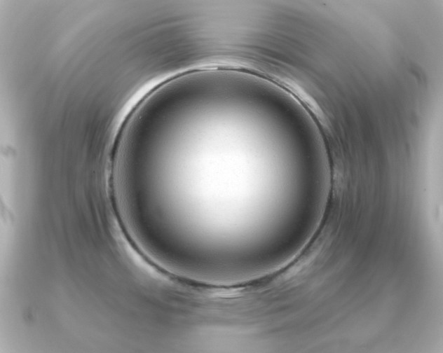 X0000090961484200708091346