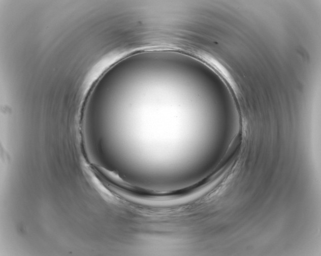 X0000090961485200708091346