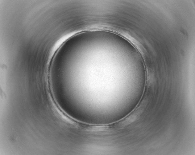 X0000090961486200708091346