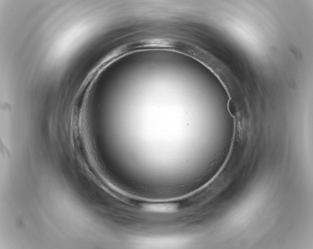 X0000090961487200708091345