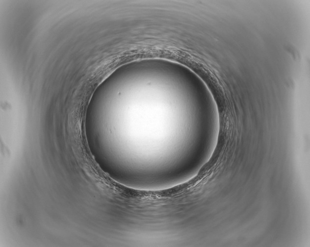 X0000090961489200708091345