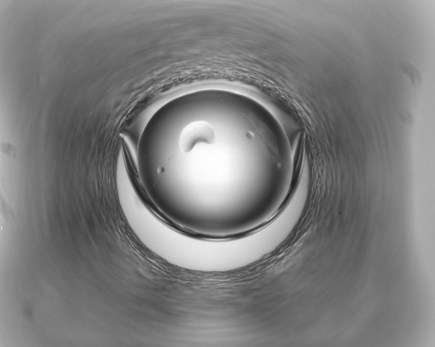 X0000090961490200708091345
