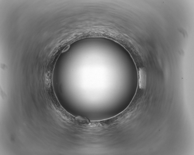 X0000090961491200708091345