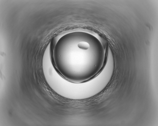 X0000090961492200708091345