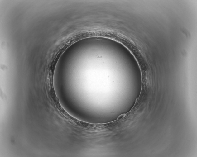 X0000090961493200708091345