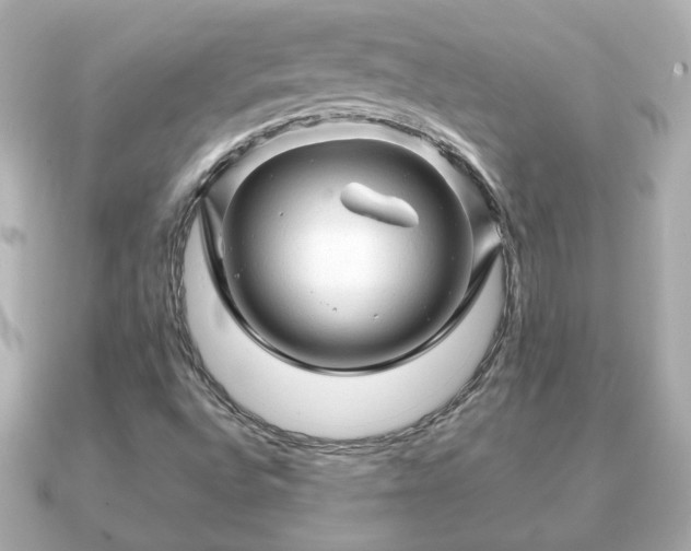 X0000090961496200708091345