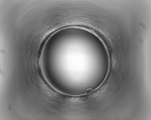 X0000090961497200708091345